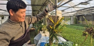 [가평사람들] 희귀란 장인, 30년 외길 인생 김씨 아저씨