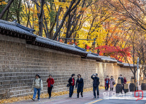 단풍 가득 덕수궁 돌담길