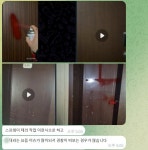 “월 500만 원 특공대원 모집”…텔레그램 ‘보복 대행’ 조직의 민낯