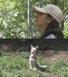 동물농장 윤승아, 틴틴이 구조 동참 누나랑 같이 집에 가자 뭉클