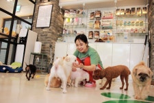 애견카페 ‘멍살롱’, 차별화된 반려동물 관리 서비스로 인기