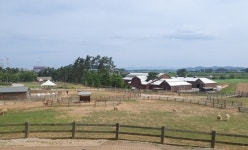 [체험]상하농원, 자연·힐링·체험 3박자 갖춘 이국적 테마파크