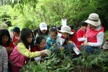 [백세건강리포트] 9.체질을 알면 인생이 아름답다