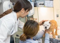 [기자가 만난사람]웨스턴동물의료센터 홍연정 원장