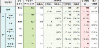 국토부, '전세사기 가담' 적발 공인중개사 재점검한다