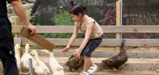 이하루, 오리잡기 열심…쫓기 전 인사 순수매력 폭발
