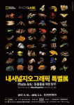마음의 울림을 만드는 문화 공연 BEST 3
