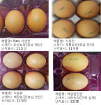 살충제 계란 감시 지속… 밥상안전 지킨다