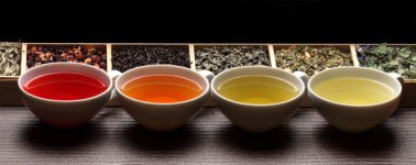 올 겨울, 특별한 차(茶) 한잔 어떠세요?