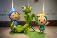 꼬마 파블로를 위해, 양평 곤충박물관