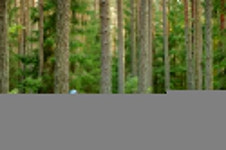 용인시, 보육기관과 유아숲체험 정기 이용 협약