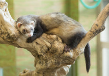 쌀쌀한 날씨, 아이들과 실내로 가볼만한 곳은?