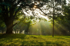 국립변산자연휴양림, 숲속의 집 확충…오는 23일부터 운영