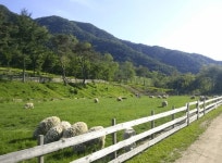 가족과 함께 떠나기 좋은 5월 국내 여행지