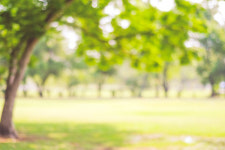 아이와 집 근처 국립자연휴양림 가볼까 지역주민 입장료 면제