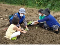 서울시, 친환경 농장 6,800구획 분양 선착순 모집