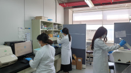 미백·시린이 다 잡은 헬리덴티 더 플러스 치약