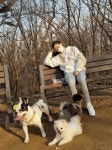 당 떨어지는 애 셋 엄마~ 성유리, 반려견과 산책하는 일상