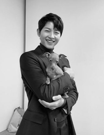 송중기, 아이 아빠된다...