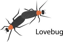 러브버그, '이렇게' 하면 피할 수 있다는데...