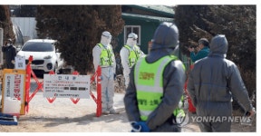 돼지열병 다시 확산 조짐…화성 농장 전두수 살처분