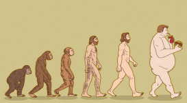 다이어트, 그 무지와 편견
