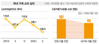 [Infographic] 월드컵 특수, 편의점 웃고 TV시장 울고