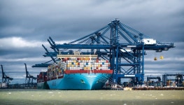 수출하던 상사의 무한변신, 렌트하고 망고 키우고