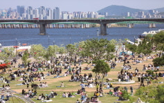 한강 편의점 쟁탈전, 황금 안을까 저주 낚을까