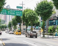 은평구 백련산로 2.6㎞ 걸어보니, 공급 안 먹히고 정책 안 통했다
