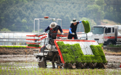 대동, 그들이 농슬라로 불리는 까닭 