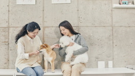 댕댕이 소리까지 분석하는 시대