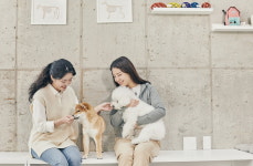 댕댕이 소리까지 분석하는 시대