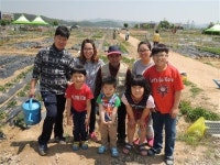 텃밭에서 갓 딴 채소, 아삭!