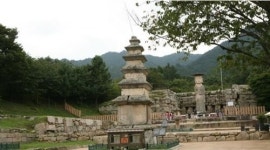 충주, 영월 체험여행