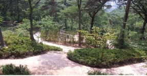 대구시 수성구 진밭골 산림공원에 삼림욕장 조성