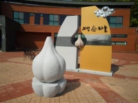 숨겨진 여행지 - 경북 의성군 금성면 탑리