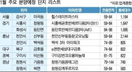 자신있는 물량만 1월에 내놨다