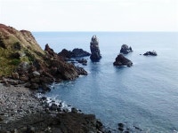 중학생 아들 졸업기념 제주 여행기