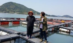 [내일신문·국립수산과학원 공동기획│미래식량산업 주도할 수산양식, 성장사다리를 놓아라 ③사료] 이르면 2017년부터 배합사료 의무화