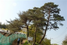 대전둘레산길을 걷다 - 2구간(만인산 길)
