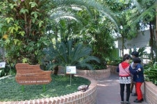 안산, 어디까지 가 봤니? 안산식물원 주변 볼거리