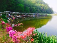 [가족과 함께 가는 용인지역 낚시터]아빠는 낚시하고 우리는 캠핑해요~