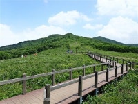 인제 점봉산 ‘곰배령’을 가다