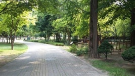 강남·서초 공원_한여름 더위 식히는 내 집 앞 공원
