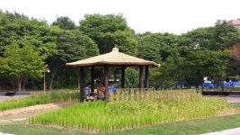 강남·서초 공원_한여름 더위 식히는 내 집 앞 공원