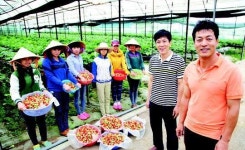 [박상주가 만난 비즈니스 한류의 개척자들] 베트남에서 꽃 채소 키우는 토종 농사꾼입니다