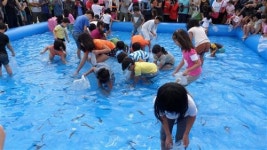 포도향 진한 ‘대부포도’를 아시나요?