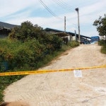 AI가 희망 송두리째 앗아가