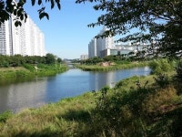 리포터가 간다_안산천 식물모니터링/생태하천 공사 후 안산천 살아났다